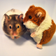 Illustration for article titled 10 Photos Of Animals With Stuffed Animals